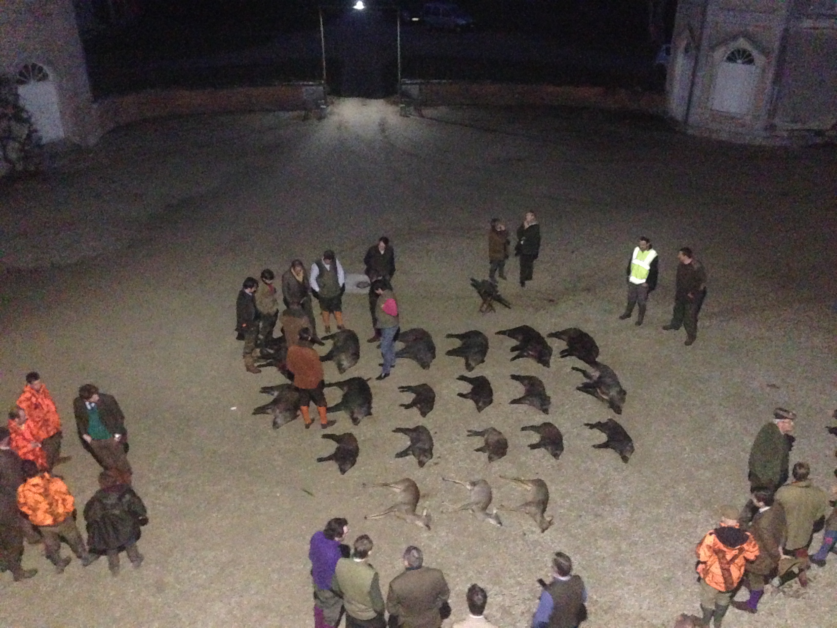 Tableau de chasse à Cendray